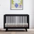 Hudson 3 In 1 Crib With Toddler Rail