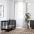 Hudson 3 In 1 Crib With Toddler Rail