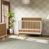 Palma 4 In 1 Crib With Toddler Rail