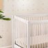 Sprout 4 in 1 Crib with Toddler Rail