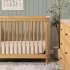 Marin with Cane 3 in 1 Convertible Crib